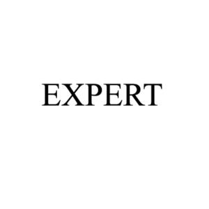 Expert
